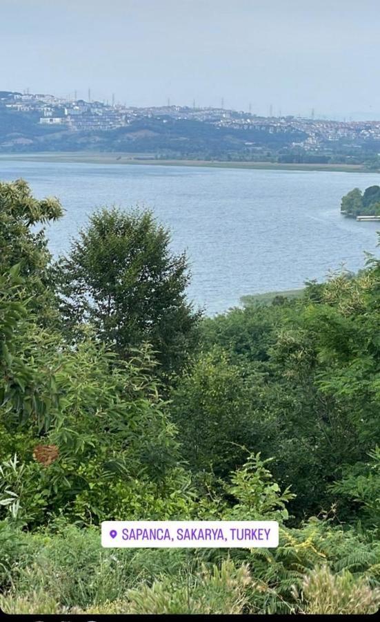 Sapanca Manzara Villa 1 Isitma Havuzlu Dış mekan fotoğraf