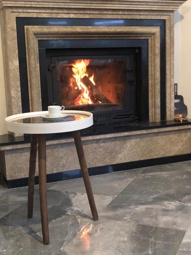 Sapanca Manzara Villa 1 Isitma Havuzlu Dış mekan fotoğraf